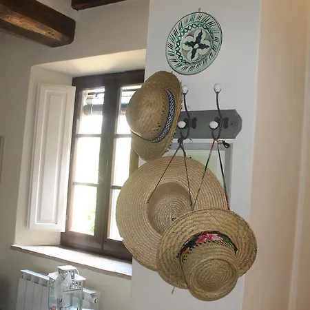 Casa Demo